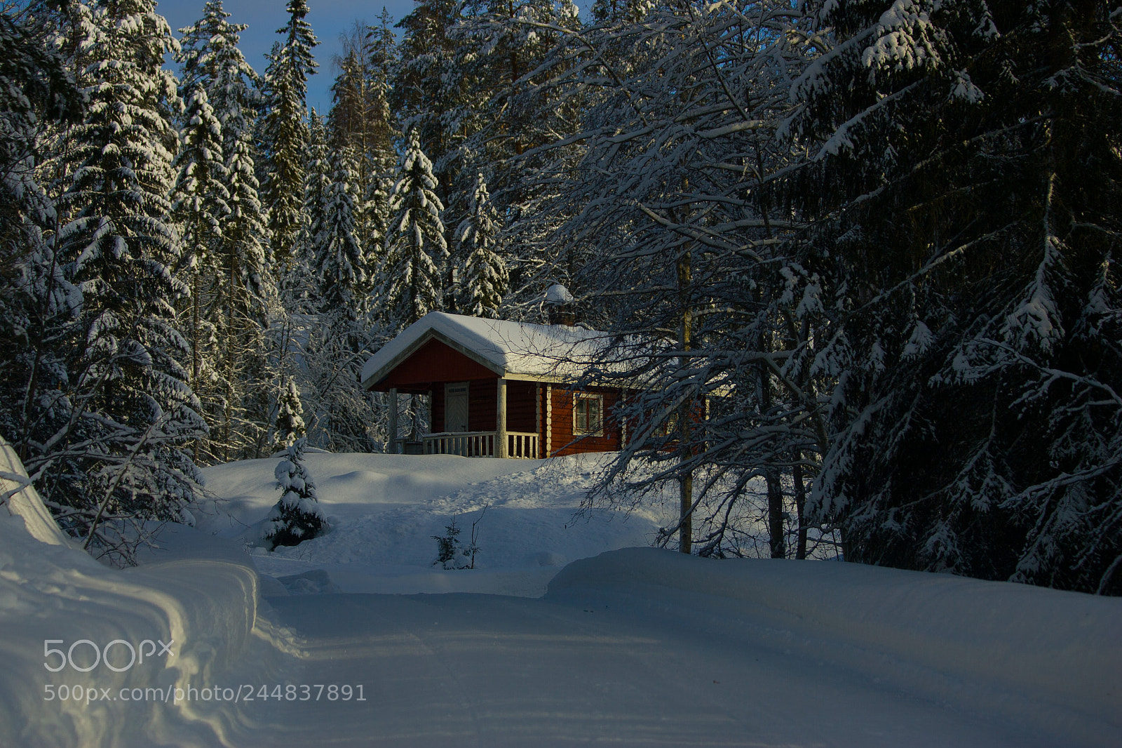 Canon EOS-1D Mark II sample photo. A home in the photography