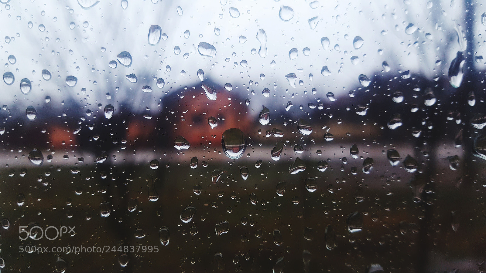 Samsung Galaxy S6 sample photo. Untitled photography