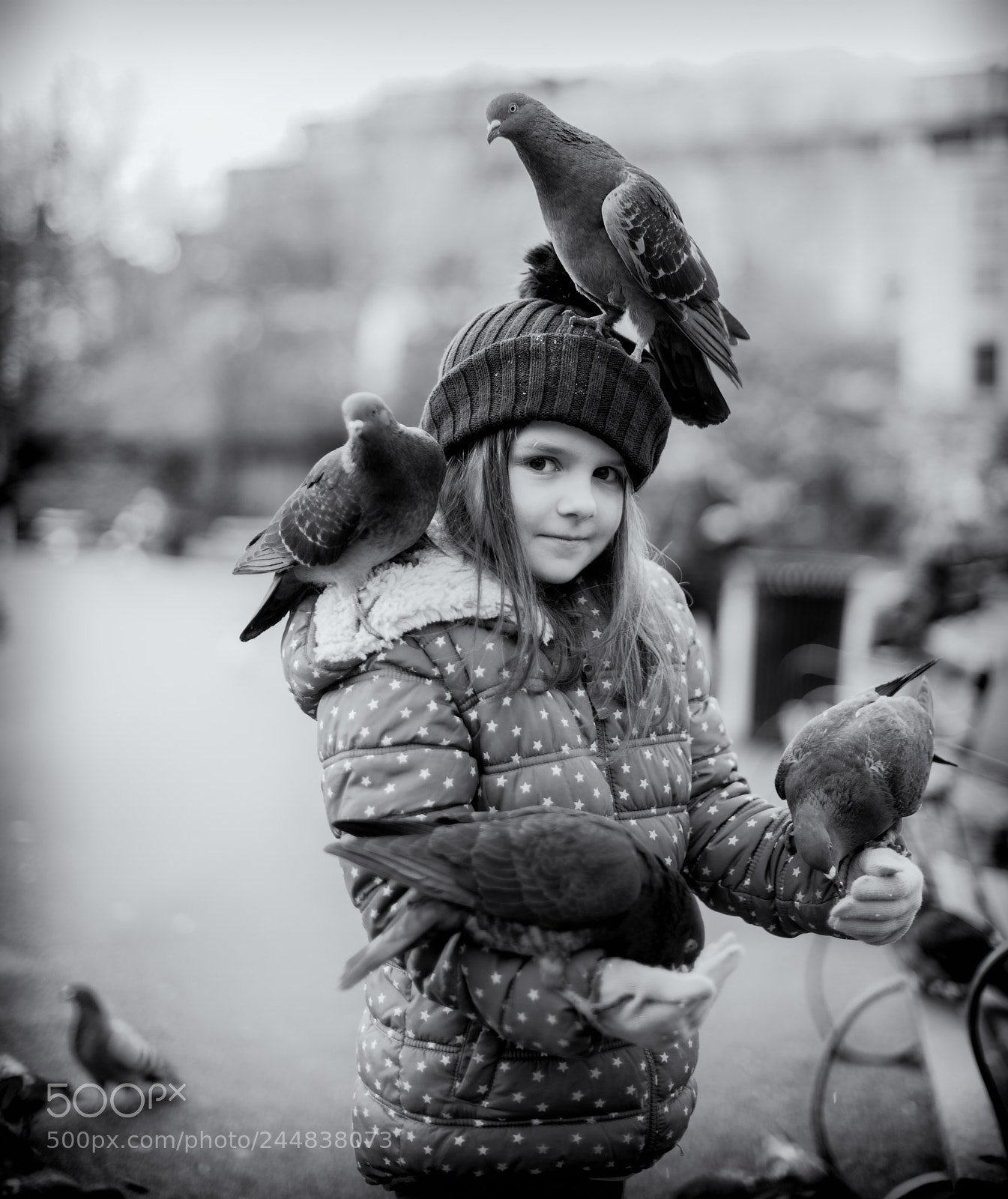 Nikon D810 sample photo. Feed the birds photography