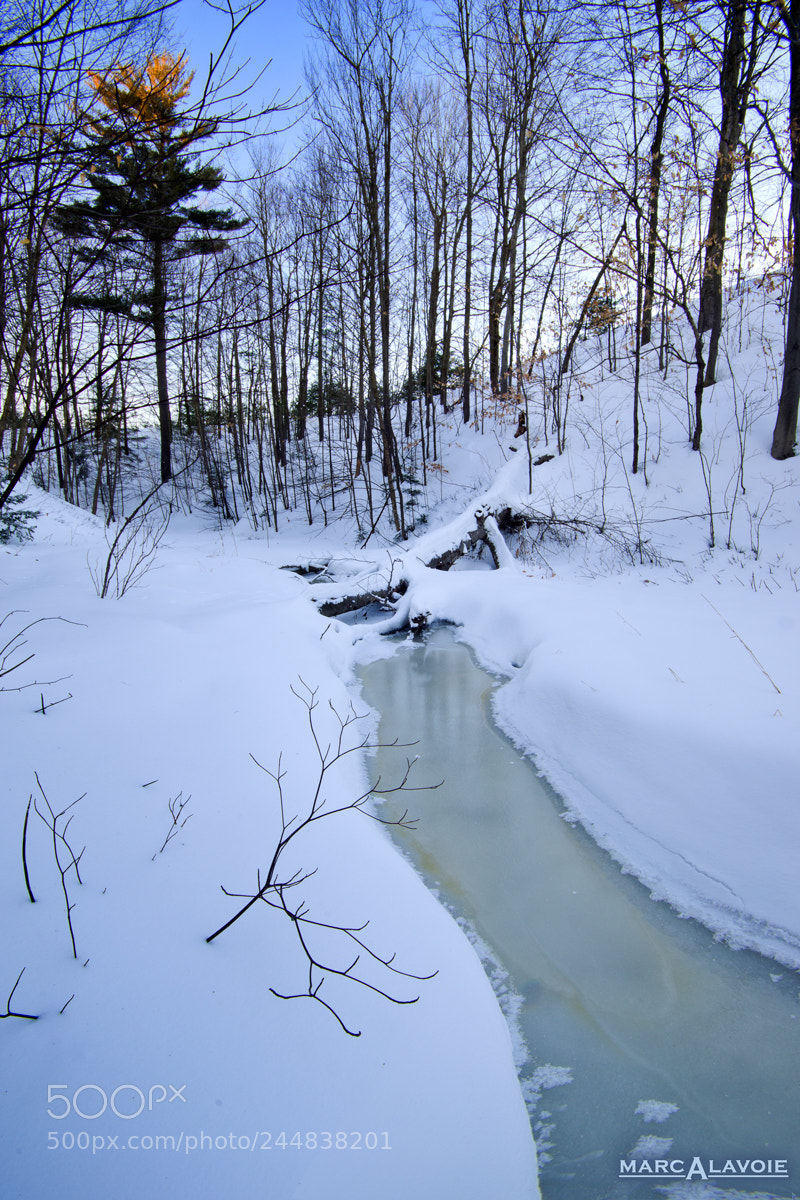 Pentax K-3 sample photo. Winter stream iii photography