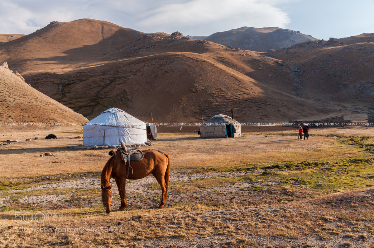 Nikon D90 sample photo. Yurts in the kyrgyzstan photography