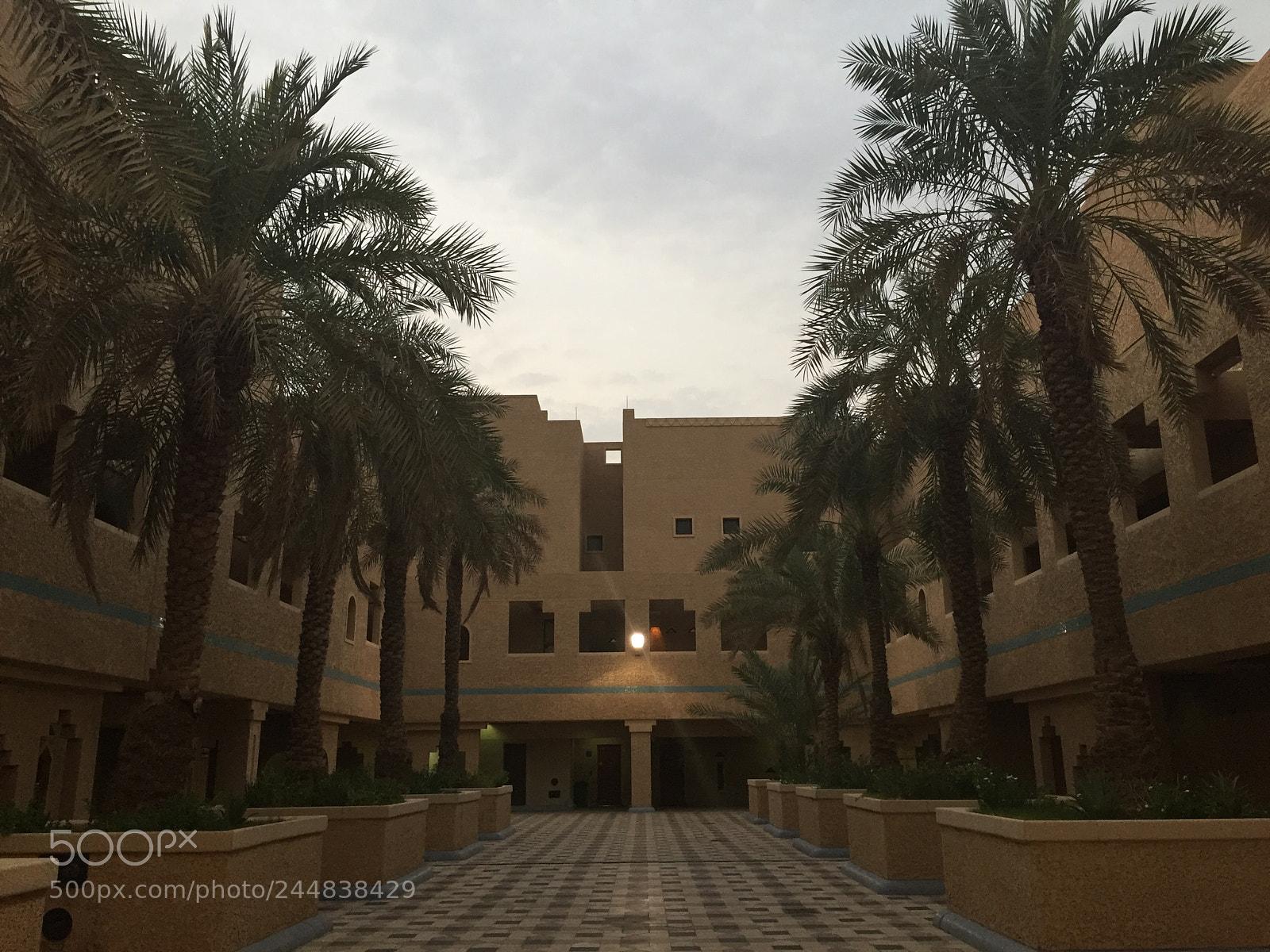 Apple iPhone 6 sample photo. Img photography