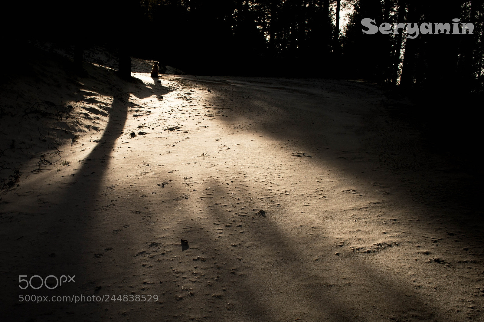 Nikon D3200 sample photo. Shadows photography