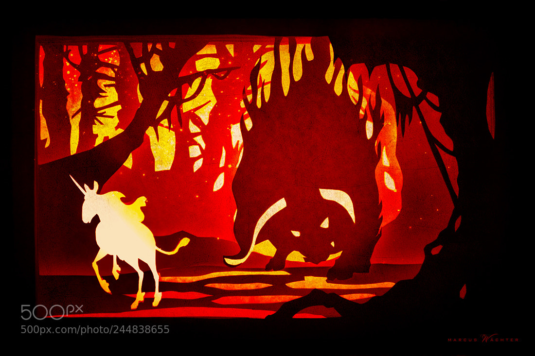 Nikon D3100 sample photo. Papercut - the unicorn photography