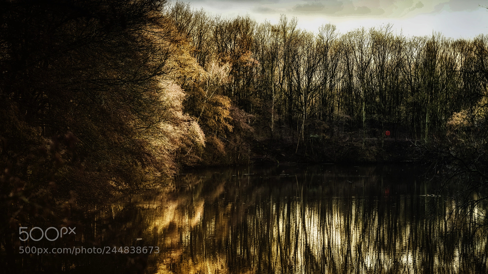 Nikon D850 sample photo. Impressions of the sun photography