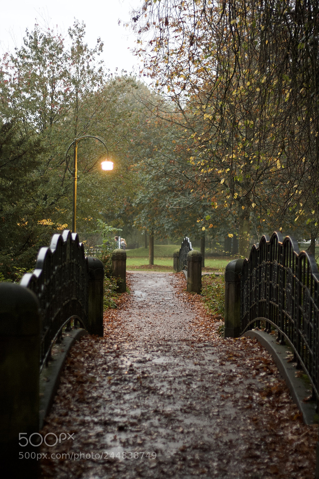Canon EOS 1000D (EOS Digital Rebel XS / EOS Kiss F) sample photo. Buergerpark bremen photography