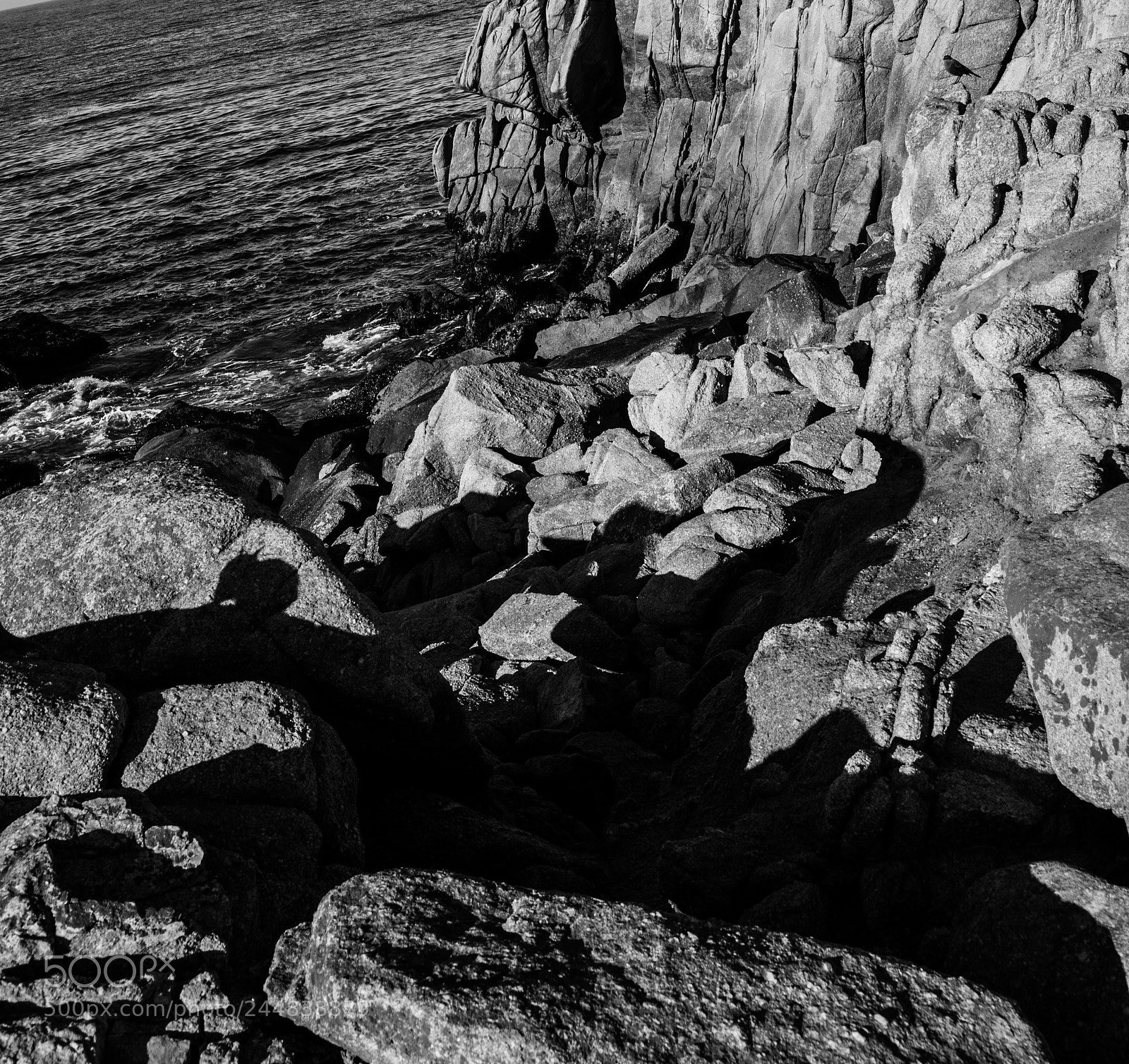 Leica M (Typ 240) sample photo. Animals by the sea photography