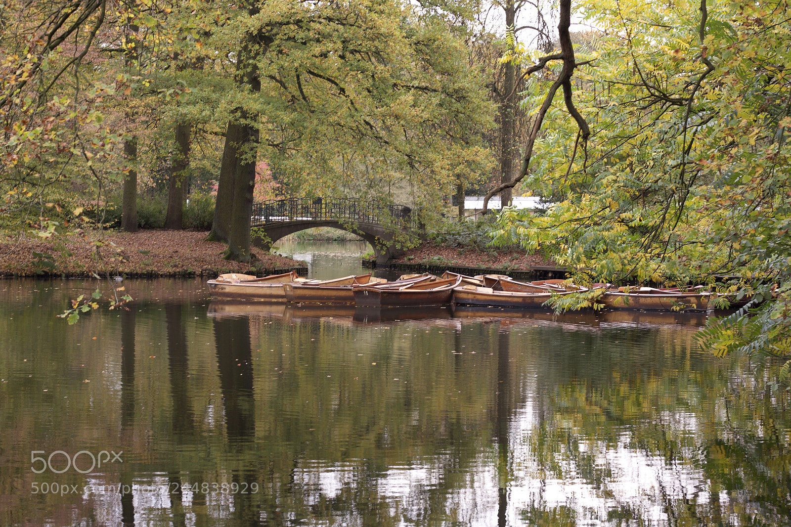 Canon EOS 1000D (EOS Digital Rebel XS / EOS Kiss F) sample photo. Buergerpark bremen photography
