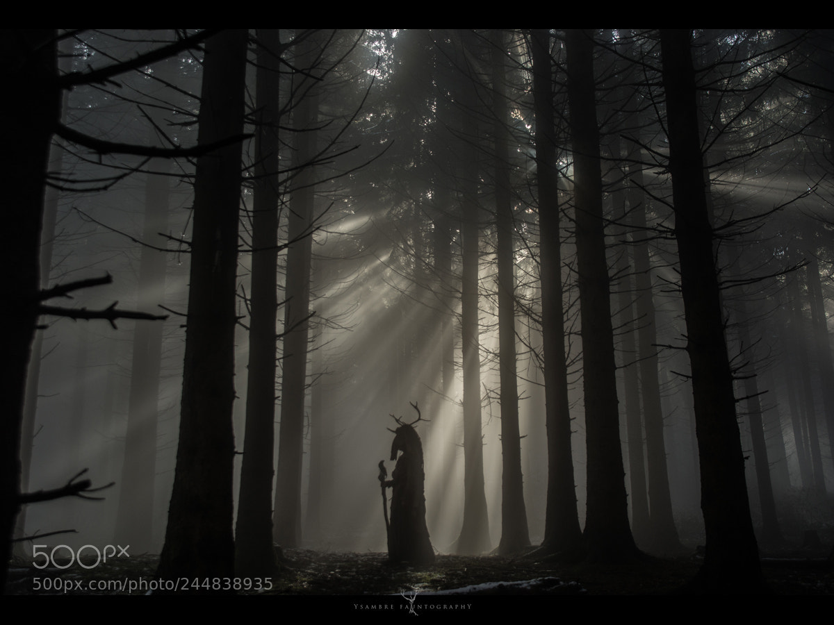 Nikon D7100 sample photo. Lightbringer ii - the photography