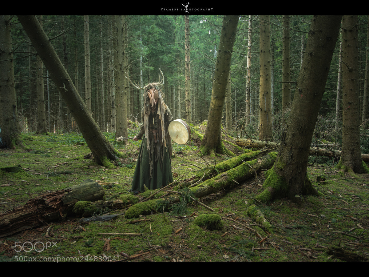 Nikon D7100 sample photo. Song for the fallen photography