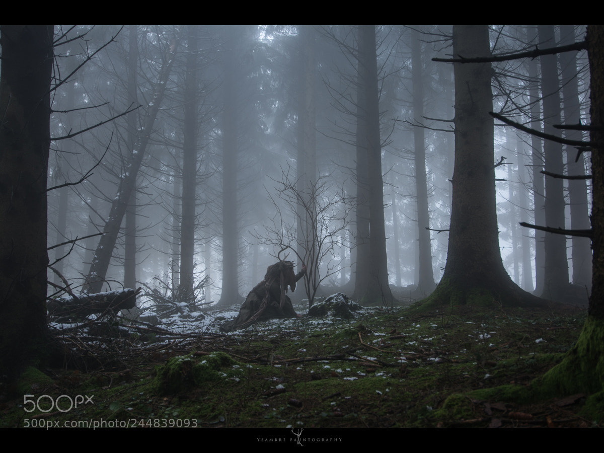 Nikon D7100 sample photo. Ancient and protector photography
