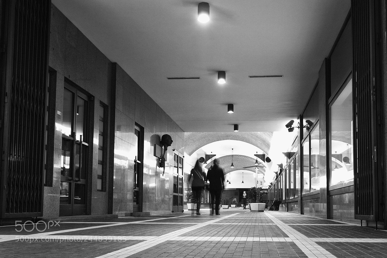 Olympus PEN E-PL1 sample photo. Gallery photography