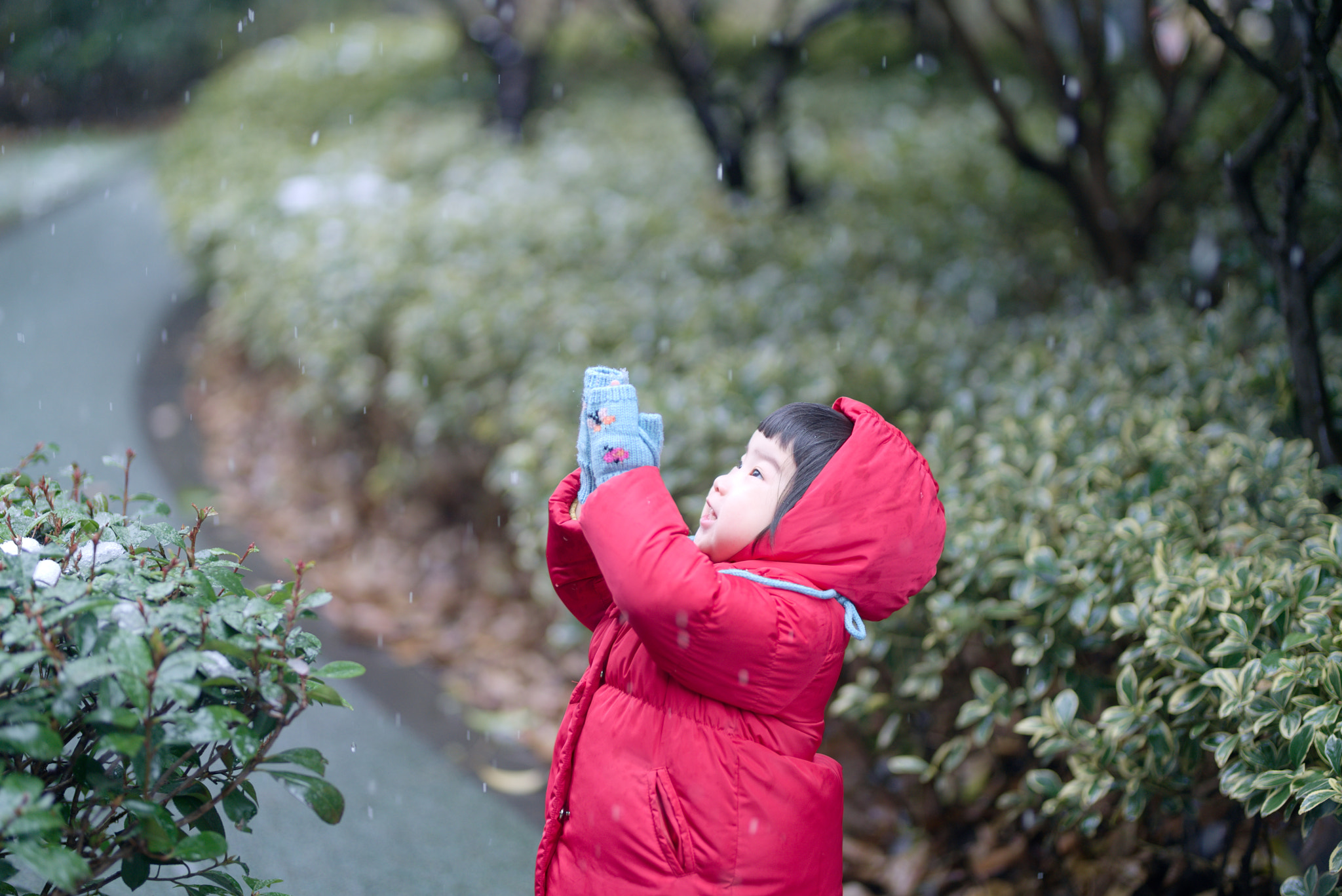 Sony FE 85mm F1.4 GM sample photo. First time meeting with snow photography