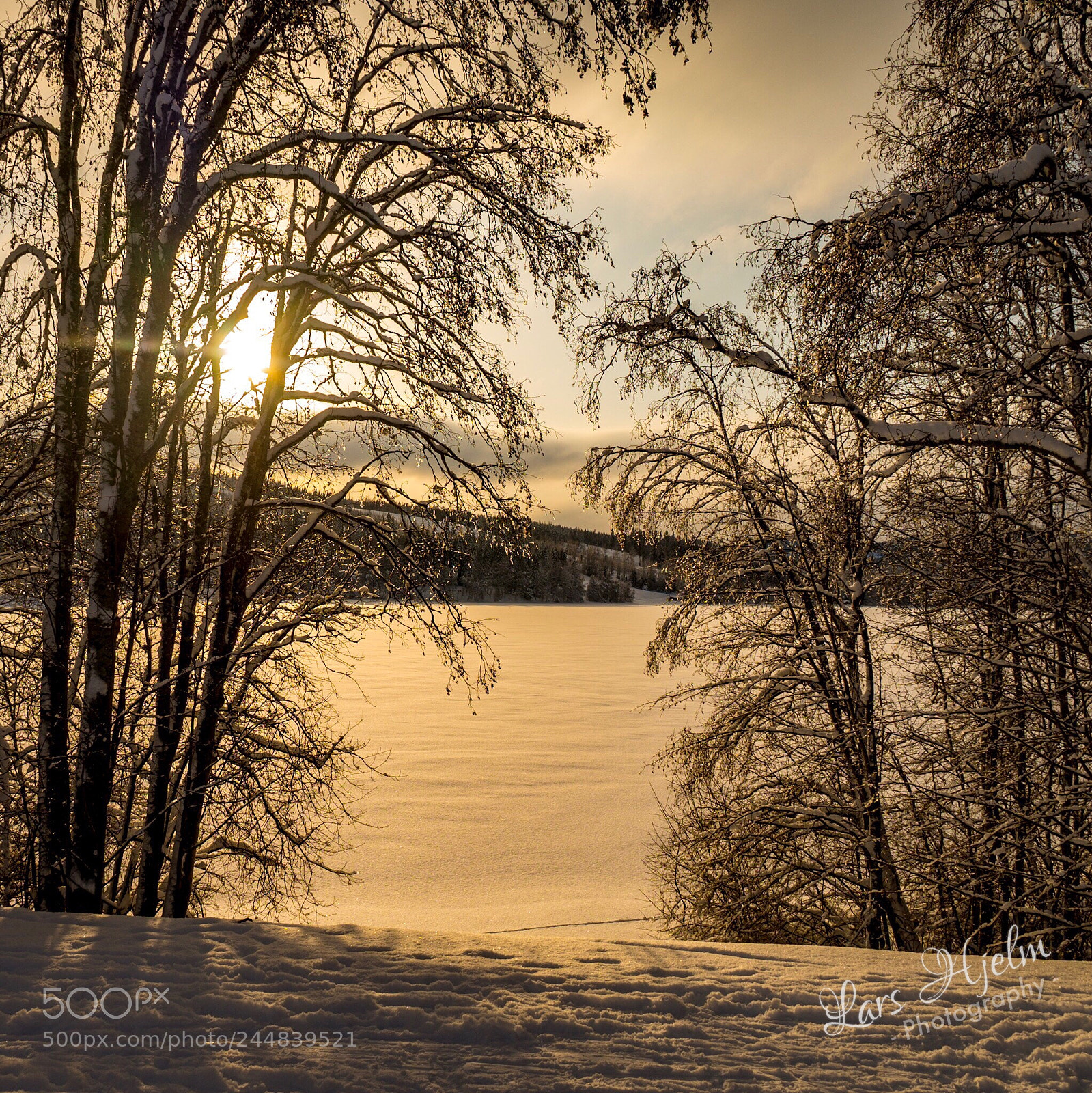 Sony SLT-A99V sample photo. Winter morning photography