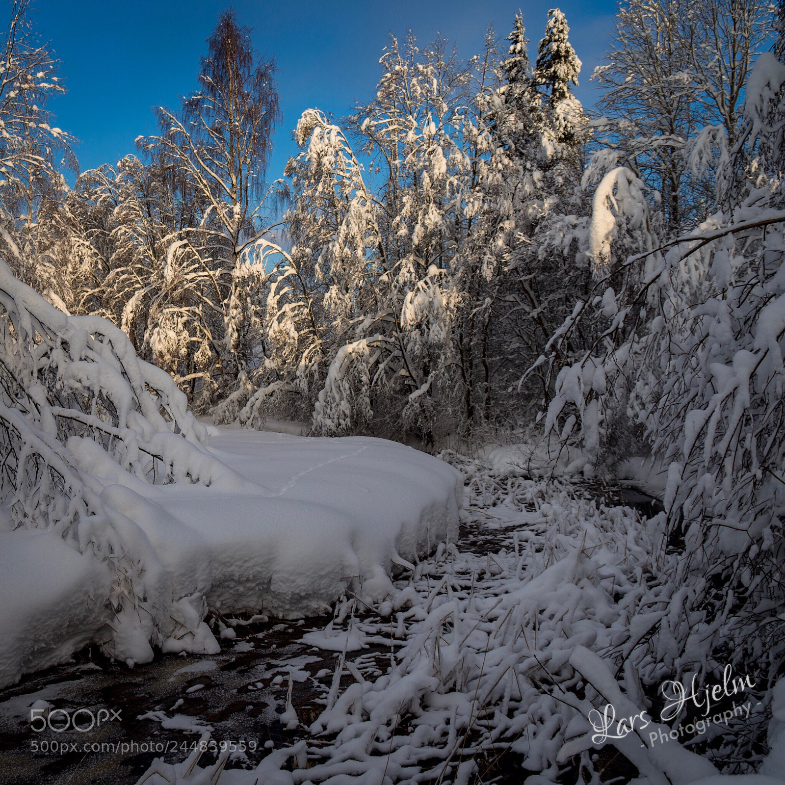 Sony SLT-A99V sample photo. Snowscape photography