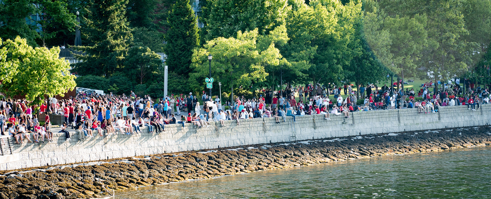 Sony ILCA-77M2 sample photo. Where’s waldo photography