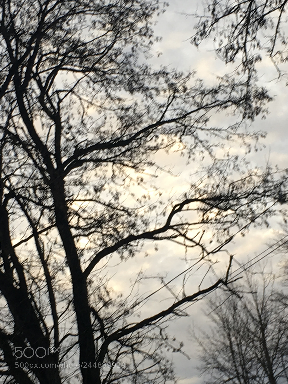 Apple iPhone 6s sample photo. Untitled photography