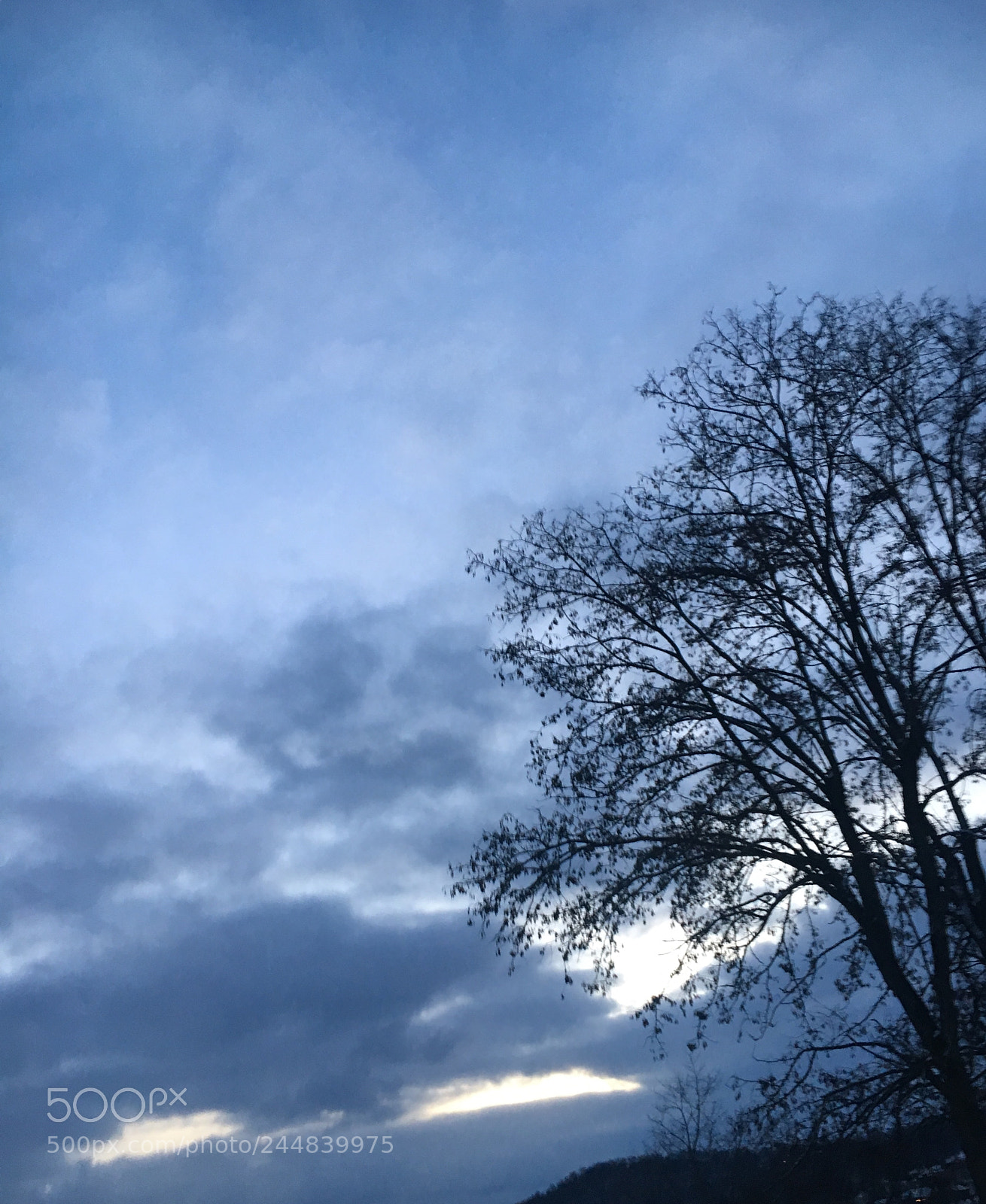 Apple iPhone 6s sample photo. Untitled photography