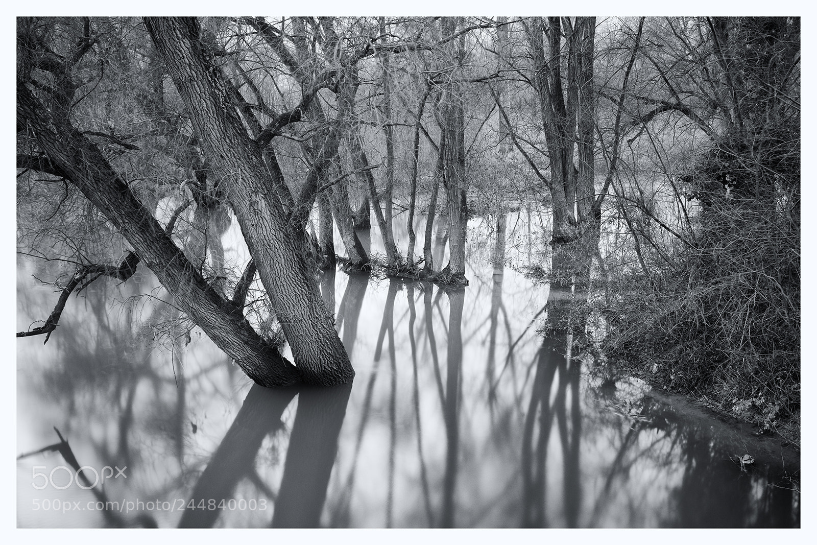 Fujifilm X-T2 sample photo. High tide photography