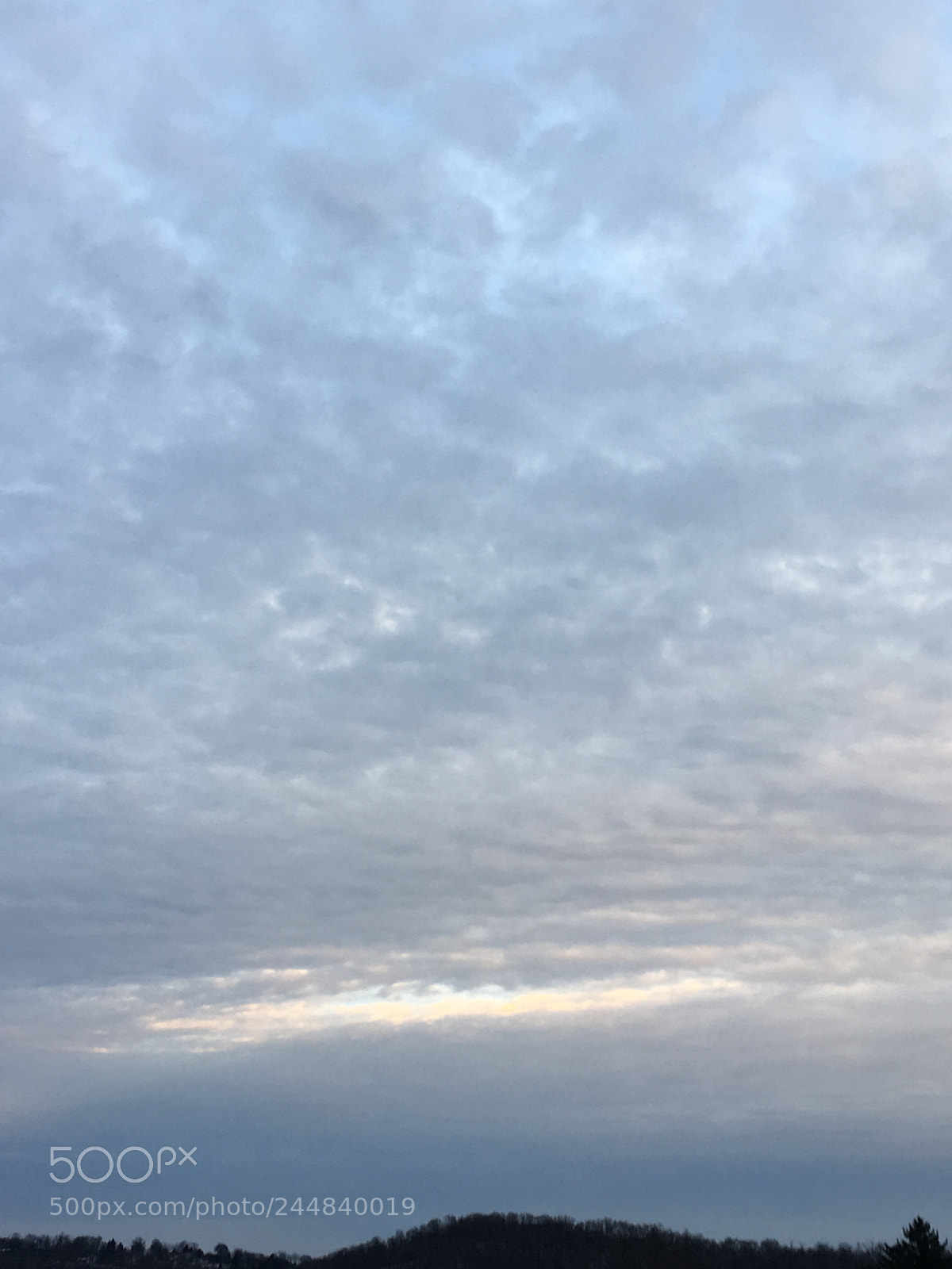 Apple iPhone 6s sample photo. Untitled photography