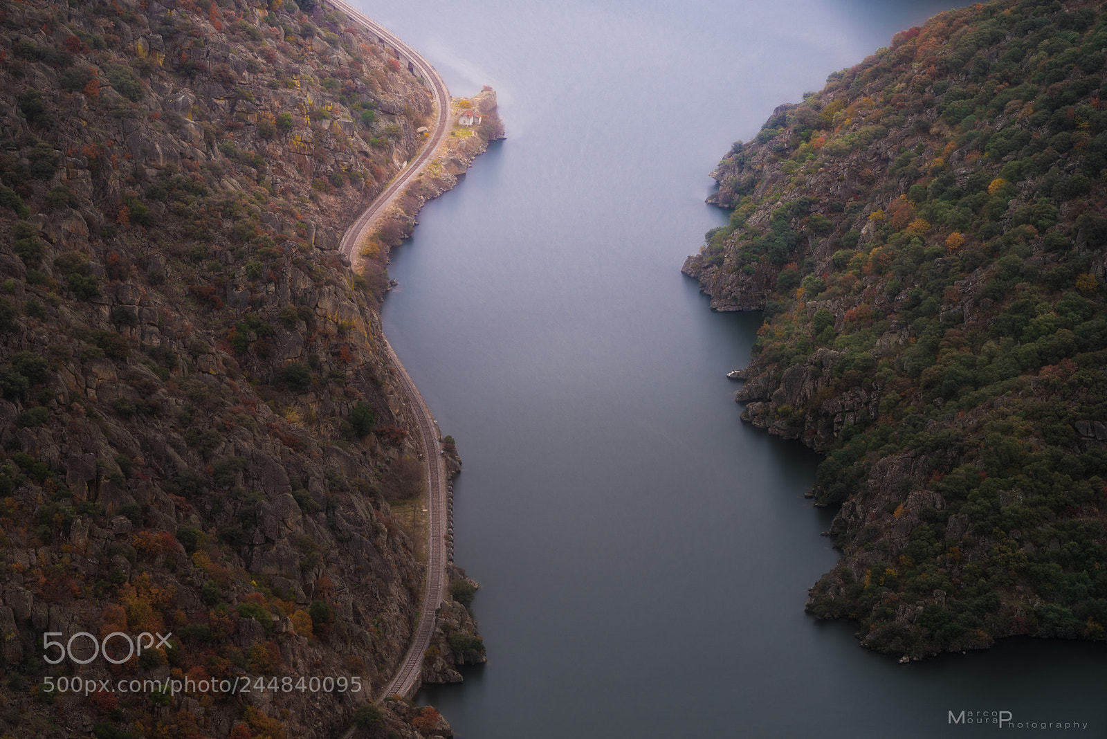Nikon D810 sample photo. With or whitout photography