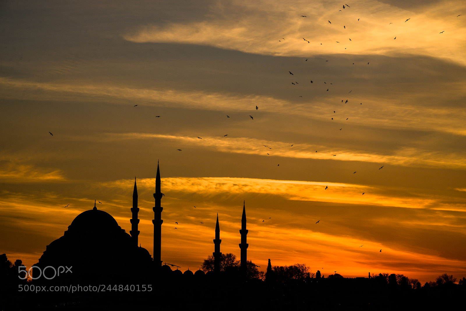 Nikon D610 sample photo. Sunset in istanbul photography