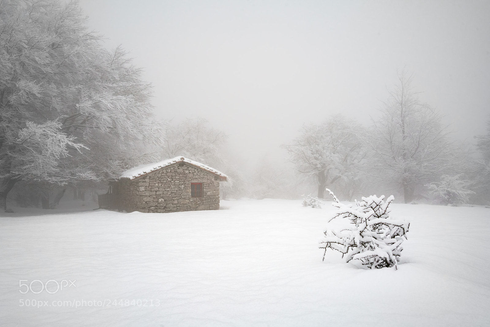 Sony a7R II sample photo. The shack photography