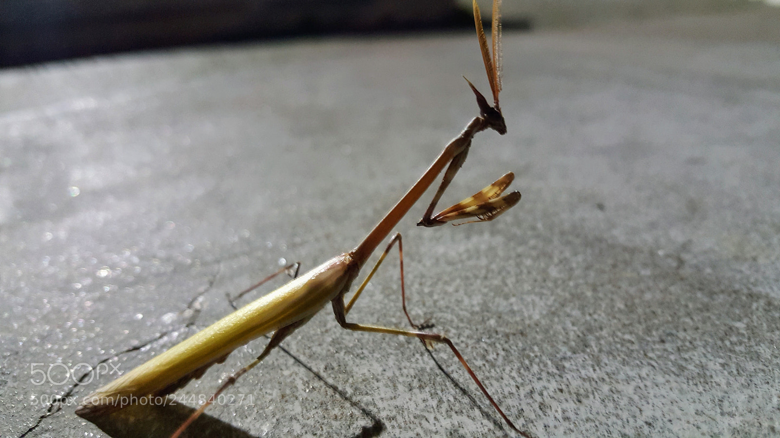Samsung Galaxy Note5 sample photo. Pray photography