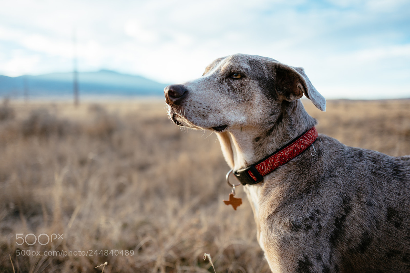 Leica Q (Typ 116) sample photo. L1120958-2.jpg photography