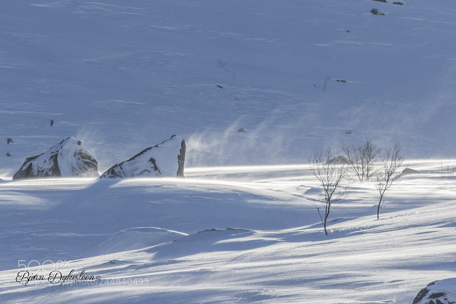 Canon EOS-1D X Mark II sample photo. Windy in the snowy photography