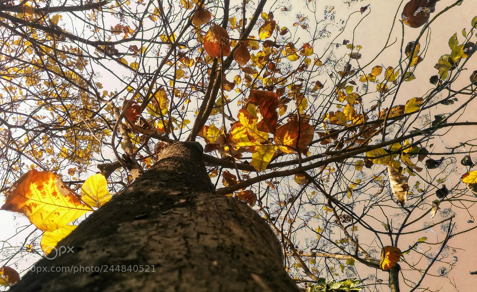 LG Nexus 5 sample photo. # nature is really beutifull ₹ photography