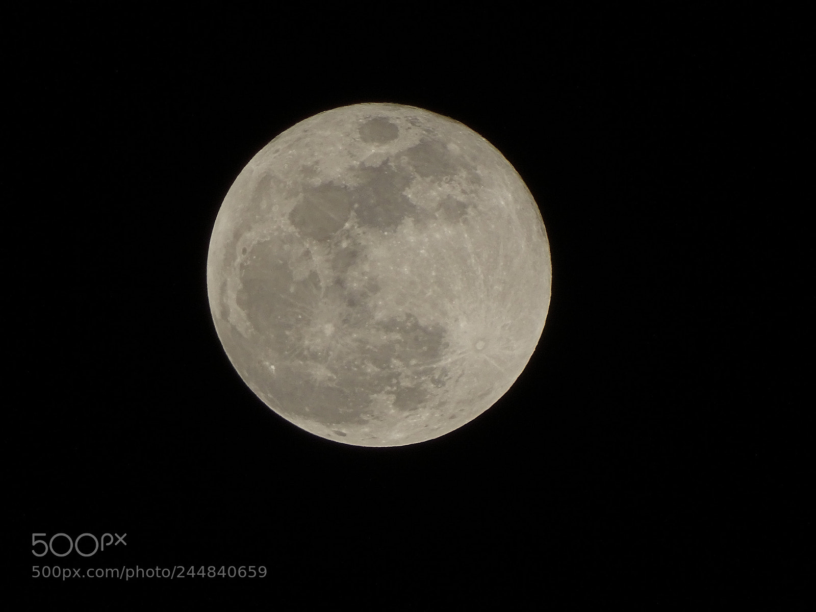 Sony Cyber-shot DSC-HX400V sample photo. Dsc photography