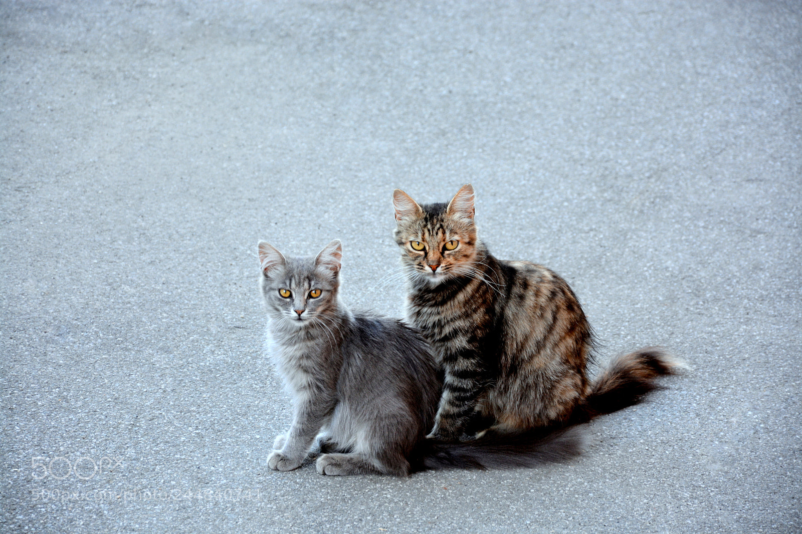 Nikon D7100 sample photo. Mother and daughter photography