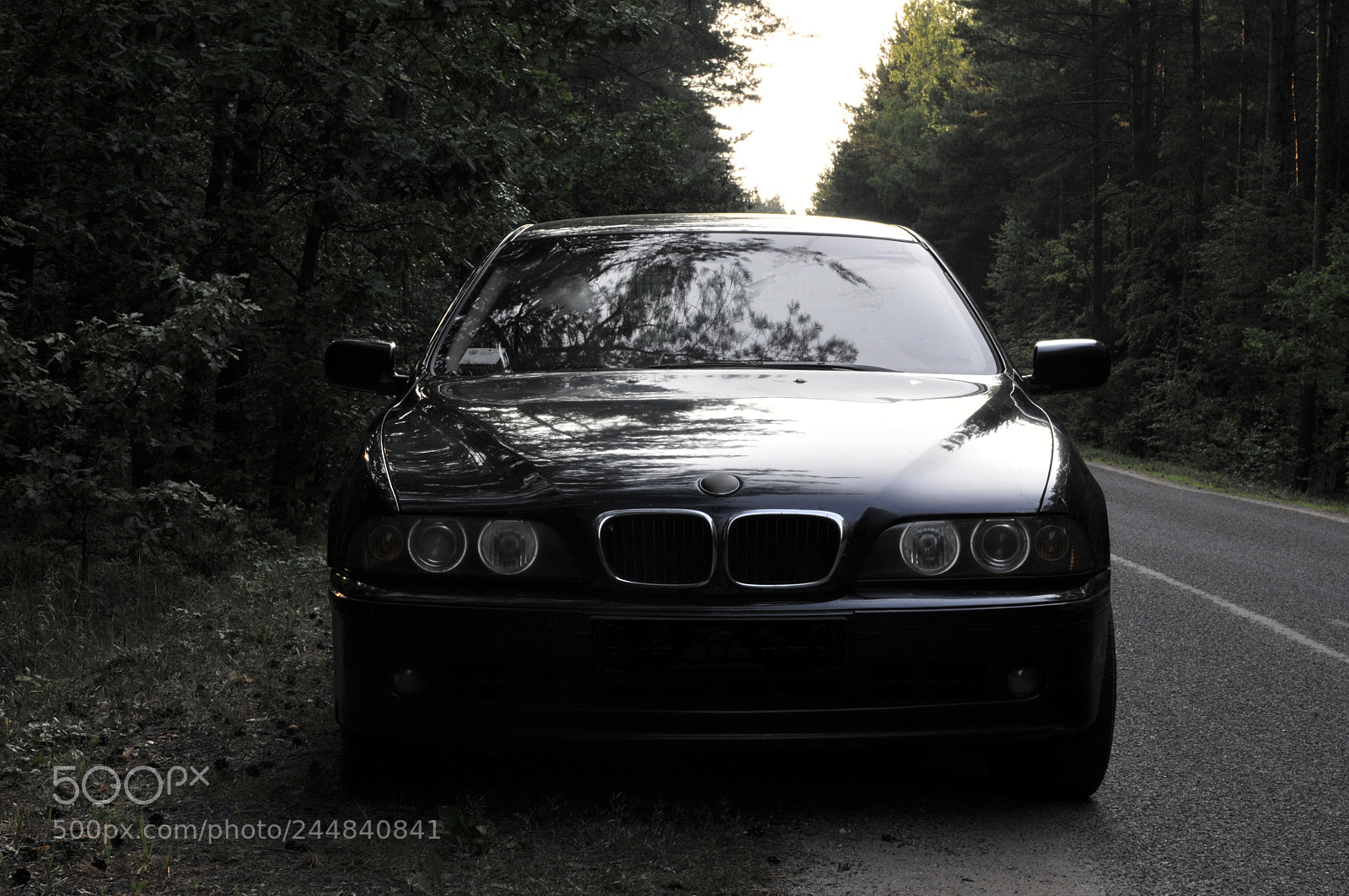 Nikon D300 sample photo. Old stylo photography