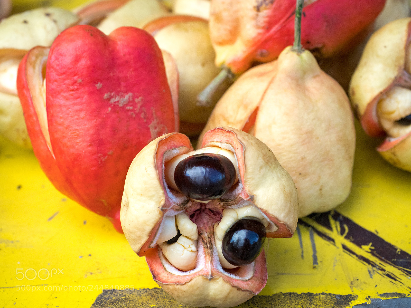 Olympus OM-D E-M1 Mark II sample photo. Ackee fruit photography