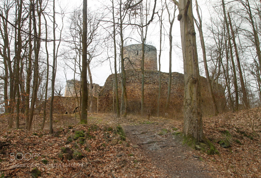 Canon EOS 1100D (EOS Rebel T3 / EOS Kiss X50) sample photo. Valdek castle photography