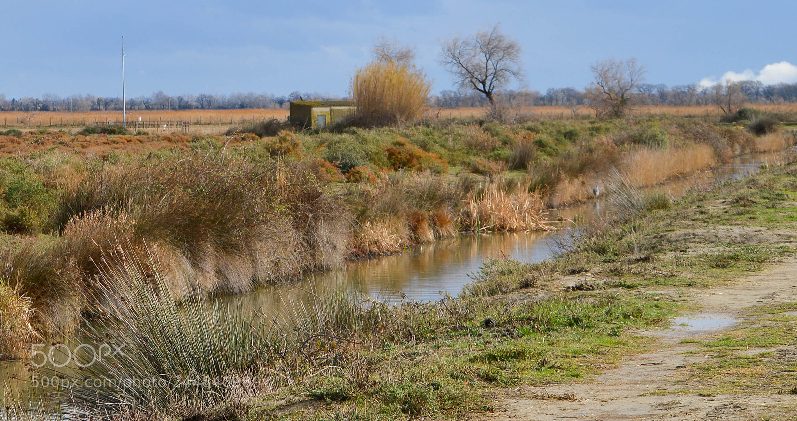 Nikon D3200 sample photo. Camargue photography