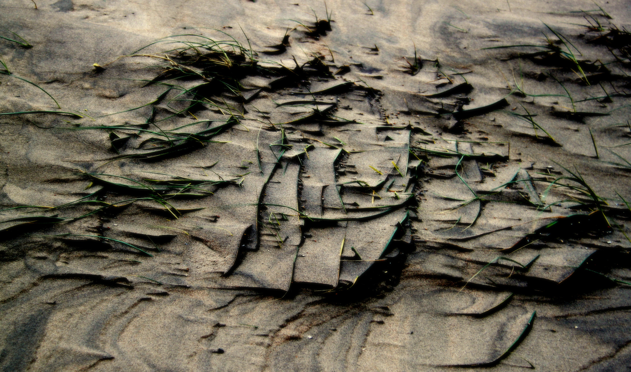 Canon EF-S 18-200mm F3.5-5.6 IS sample photo. Sandstructures photography