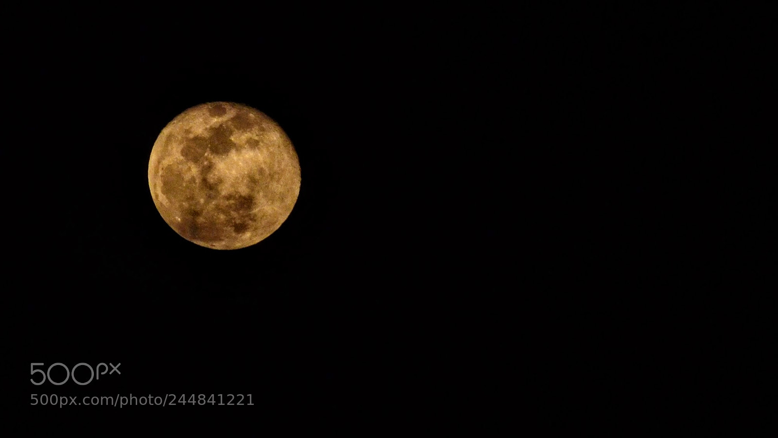 Nikon D5100 sample photo. Untitled photography