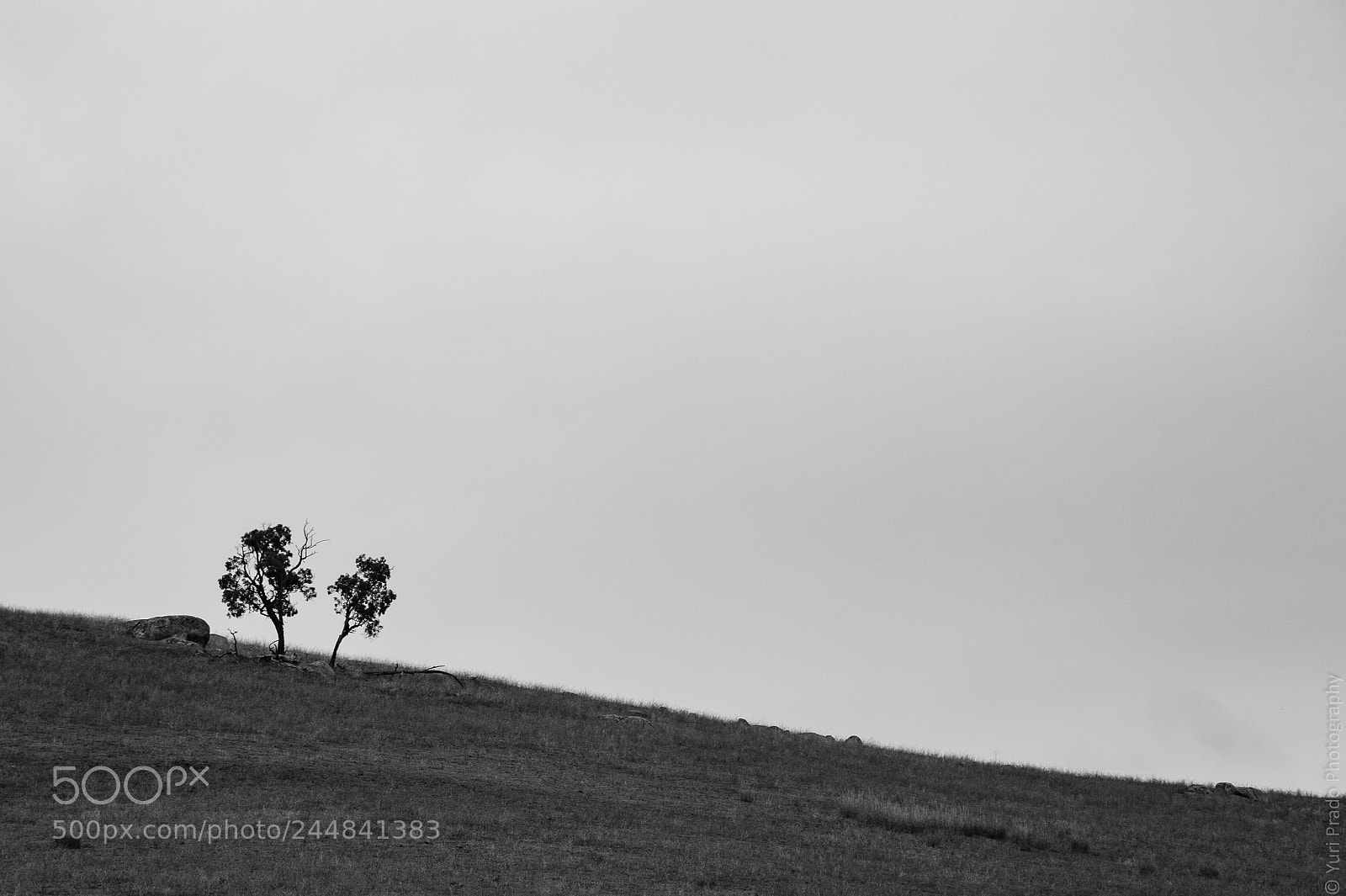 Nikon Df sample photo. ...simplicity... photography