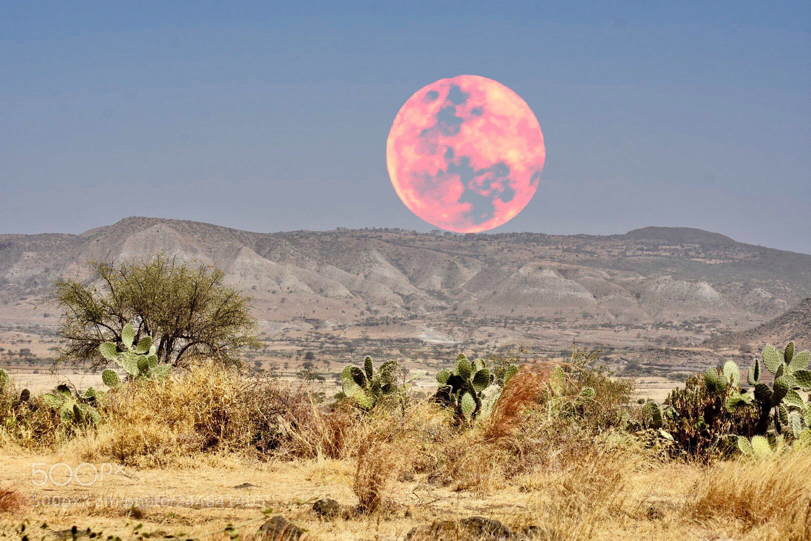 Nikon D7200 sample photo. Full moon illumination on photography