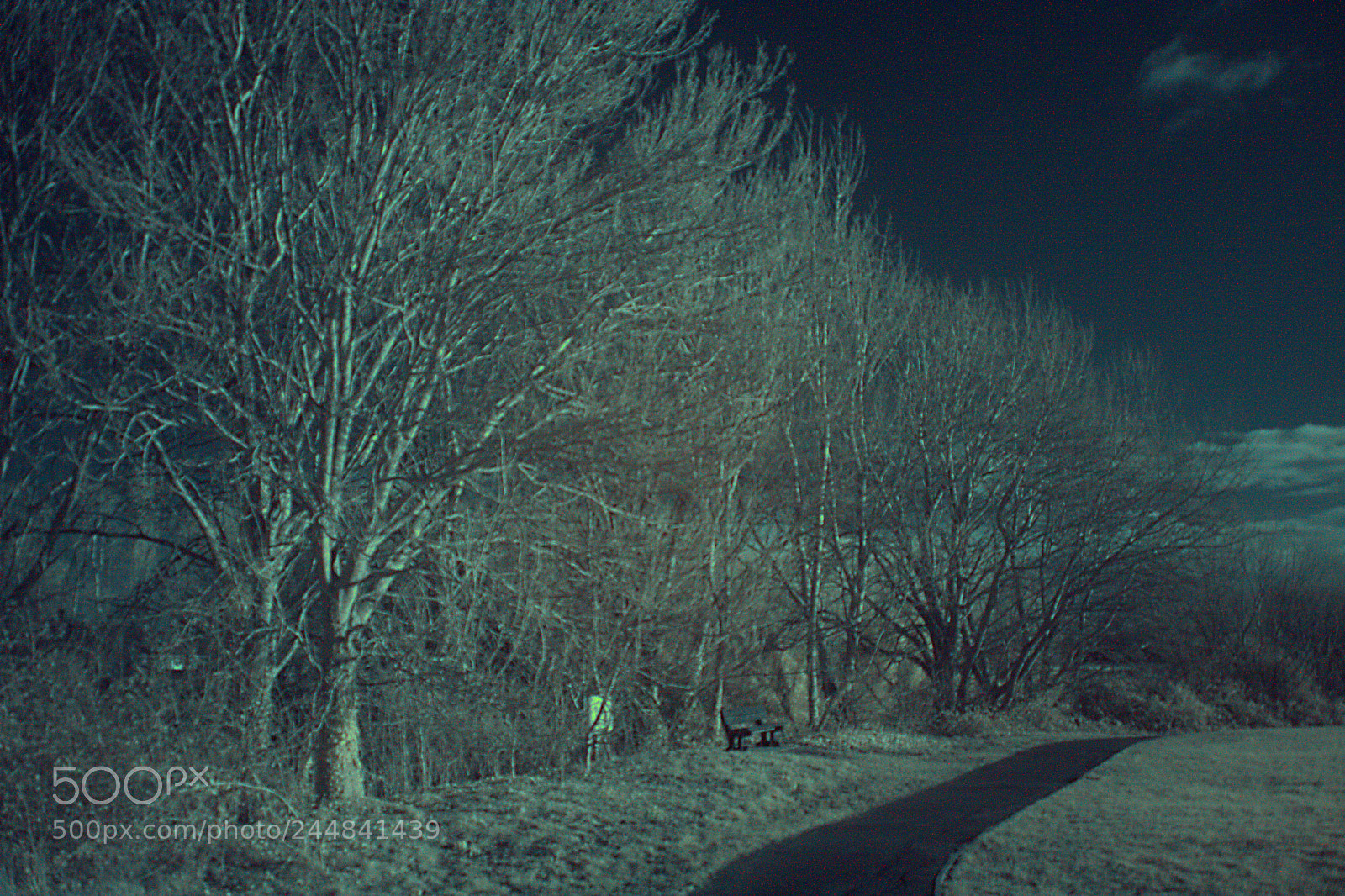 Canon EOS 1000D (EOS Digital Rebel XS / EOS Kiss F) sample photo. Experiment in infrared photography