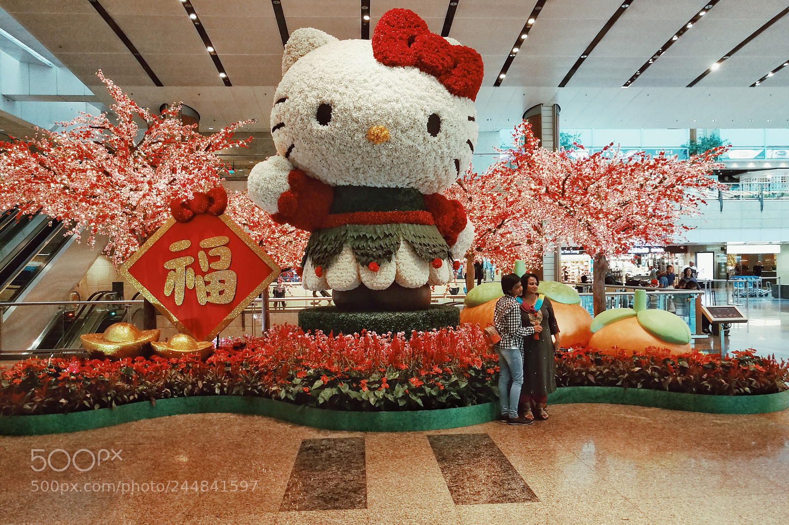 HUAWEI P9 sample photo. Untitled photography