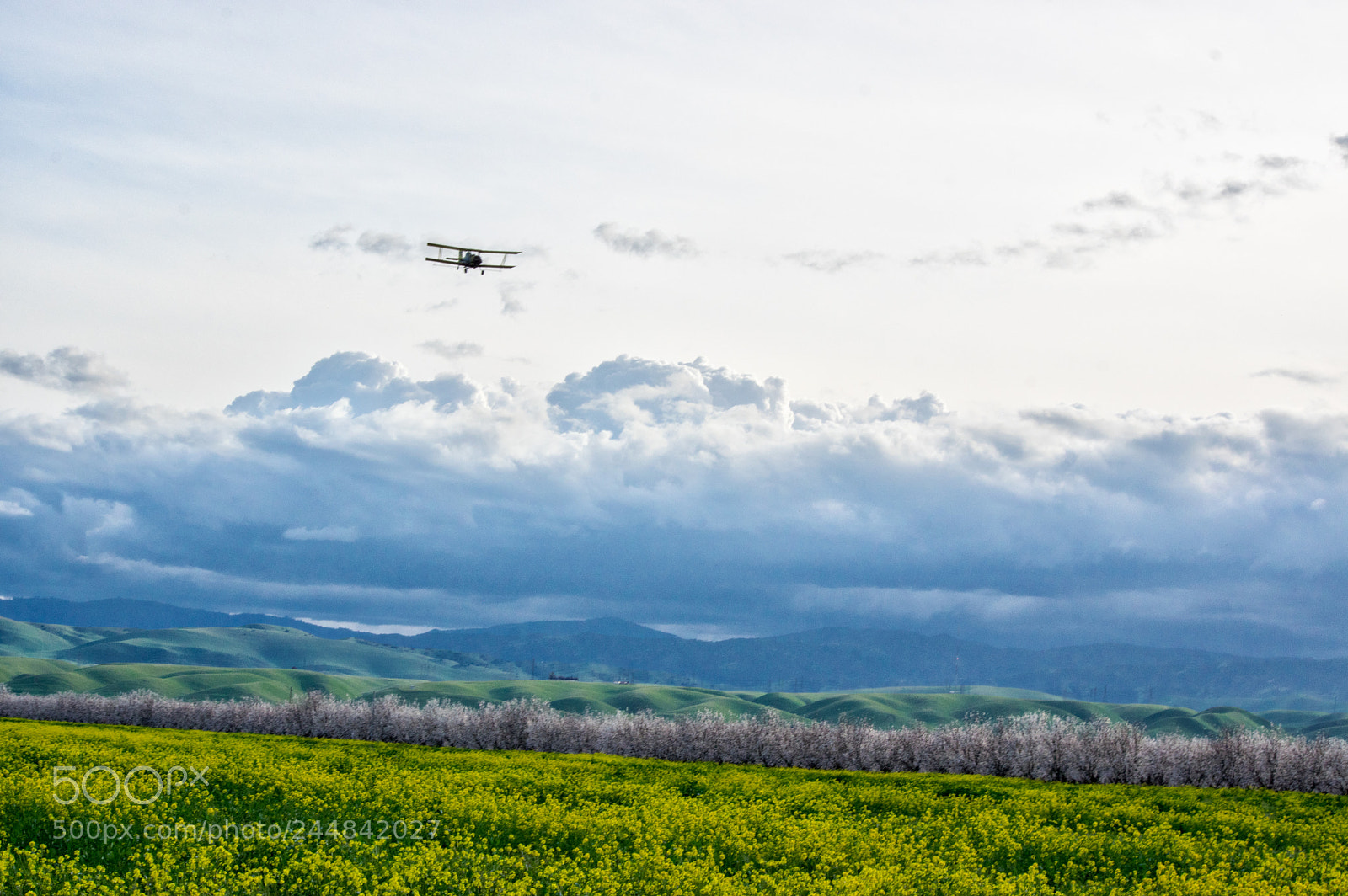 Pentax K-3 sample photo. Flying photography
