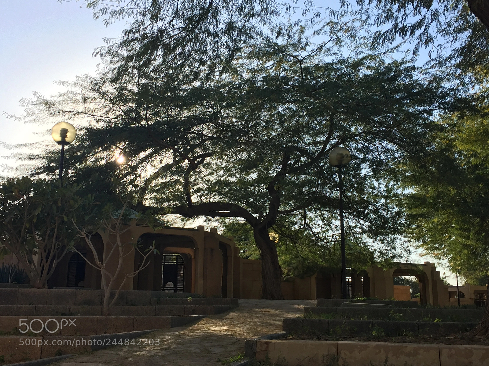 Apple iPhone 6 sample photo. Img photography