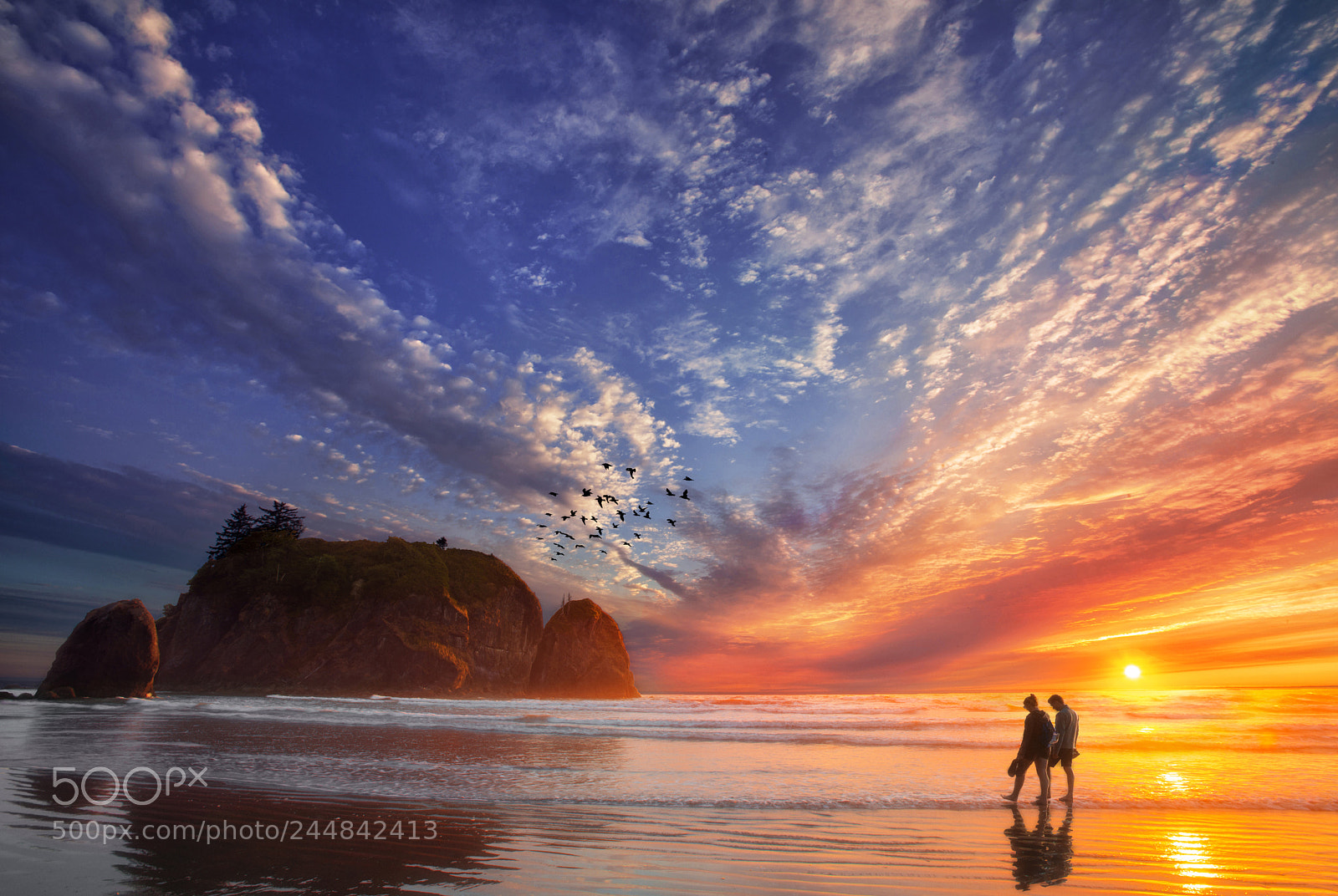 Nikon D800E sample photo. Ruby beach photography