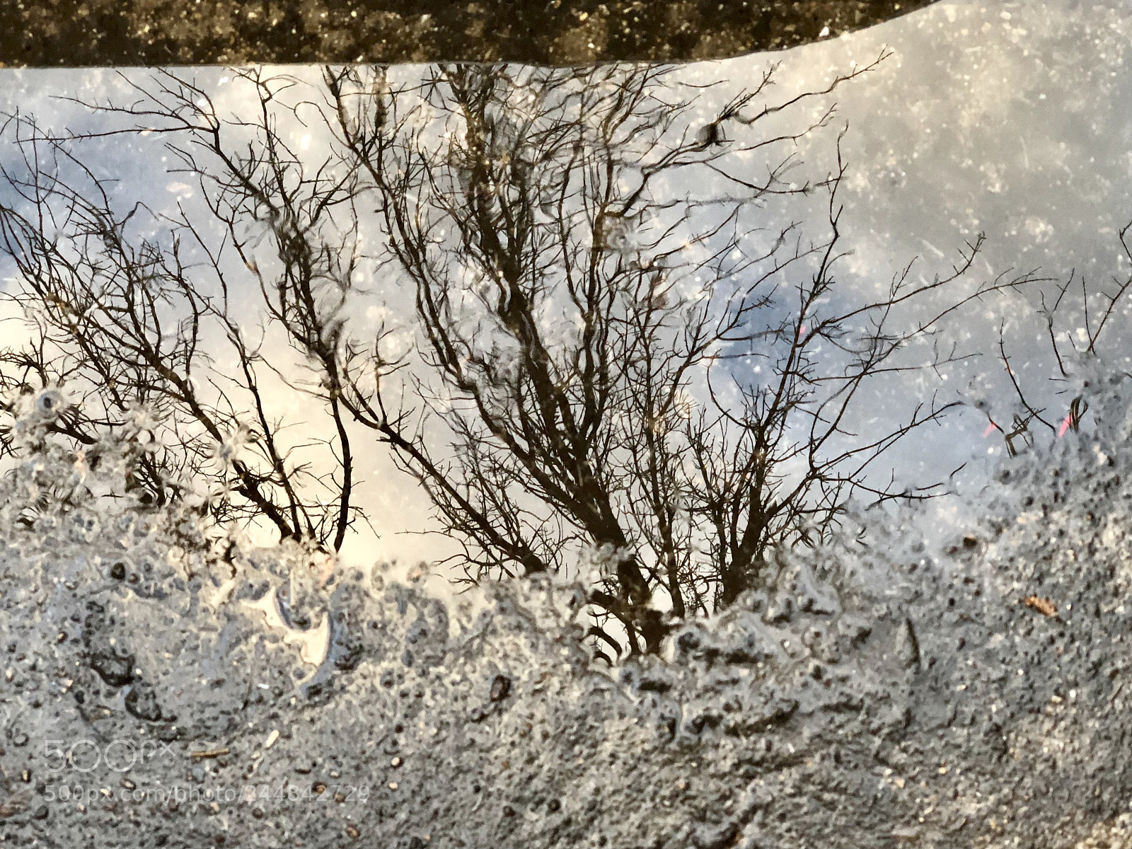 Apple iPhone X sample photo. Driveway mirror photography