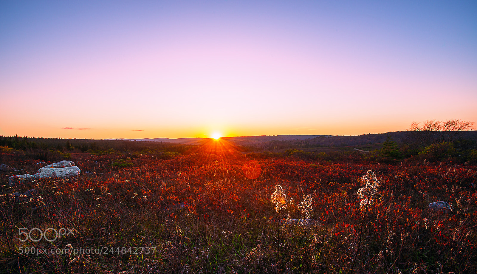 Nikon D800E sample photo. Bear rock sunset photography