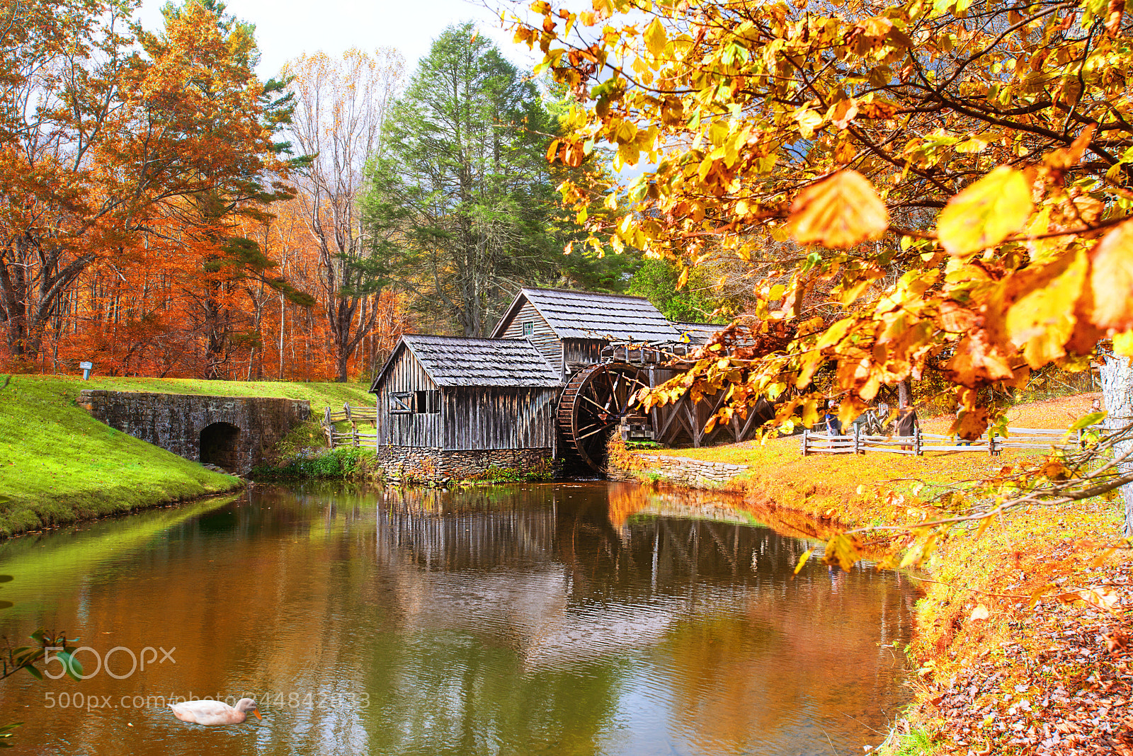 Nikon D800E sample photo. Mabry mill photography