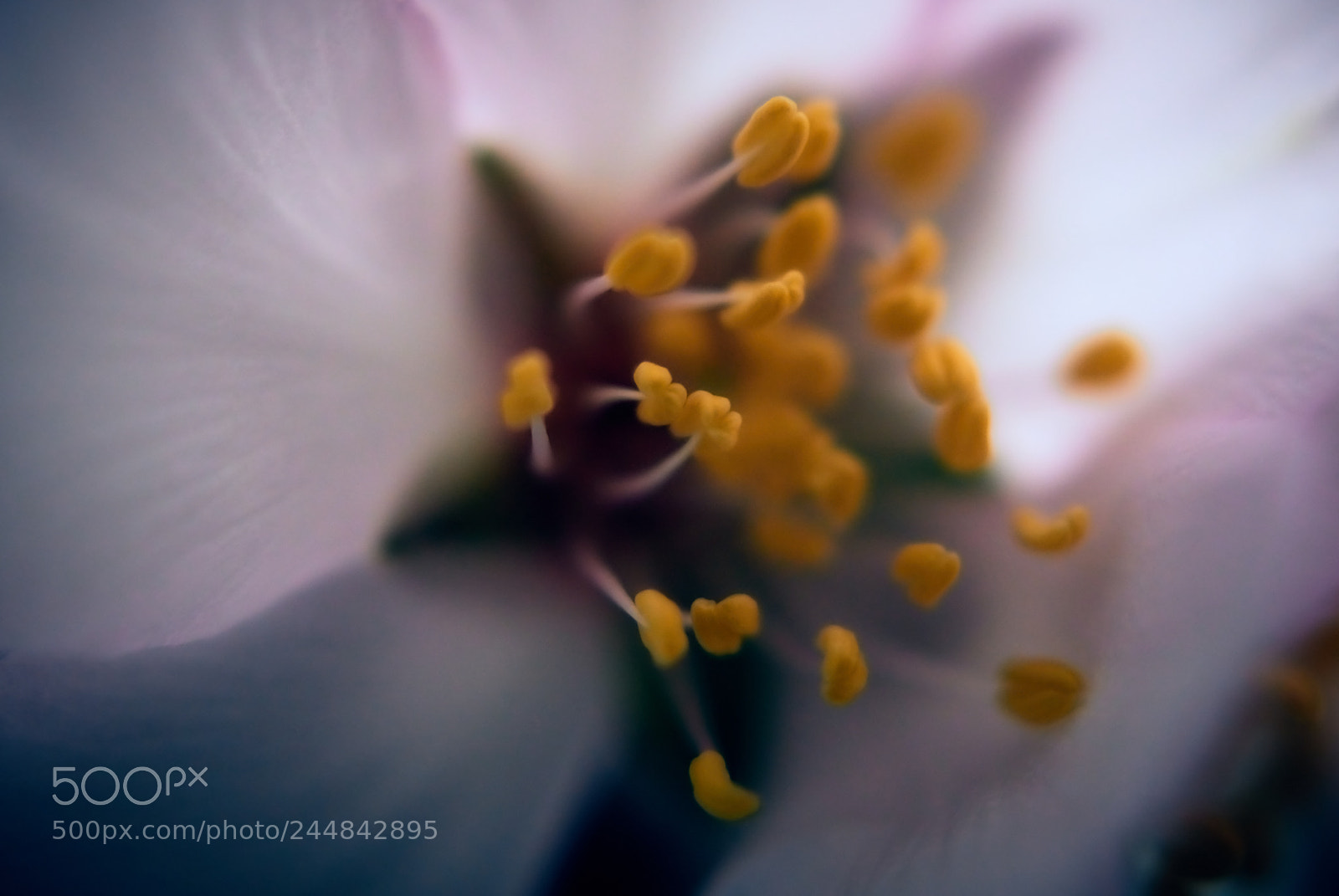 Sony ILCA-77M2 sample photo. Plenilunio photography